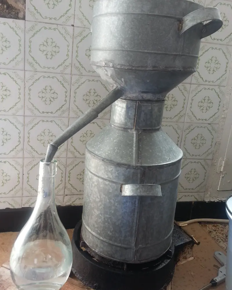 Metal still in a tiled kitchen, orange flower water dripping into a glass flask