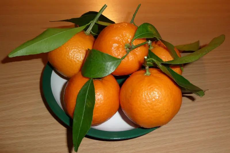 Plate of mandarins still bearing their leaves, set on a wooden table