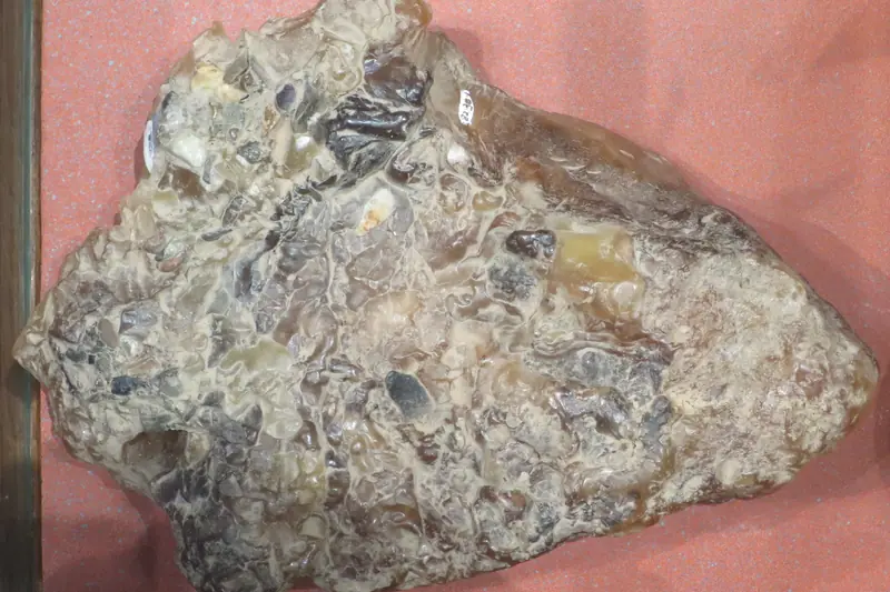 Bloc d'ambre gris marbré de gris et de crème exposé au musée de Skagway