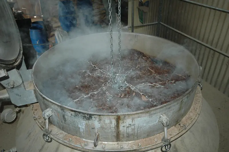 Sandalwood chips in the steaming vat of a distillery in Egypt