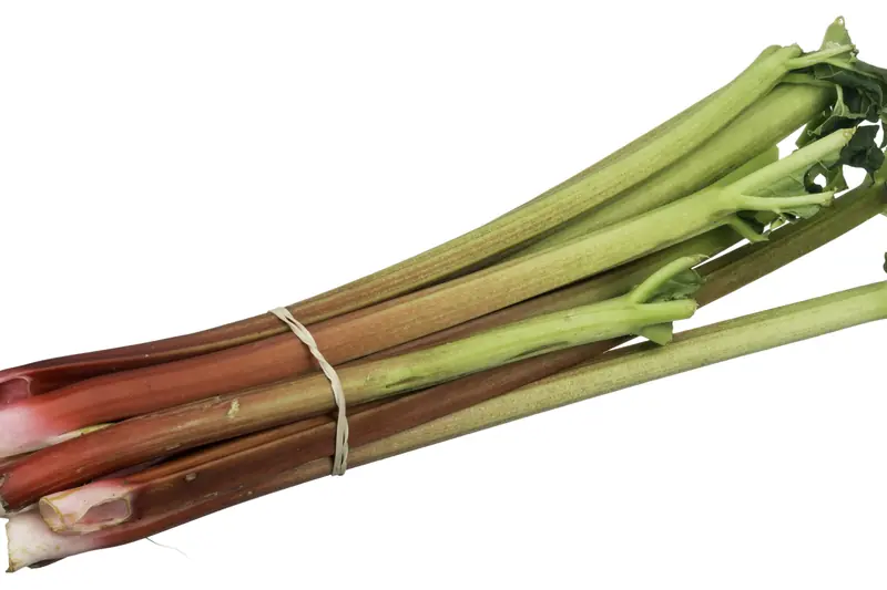 Botte de tiges de rhubarbe rouges et vertes liée par un élastique, sur fond blanc