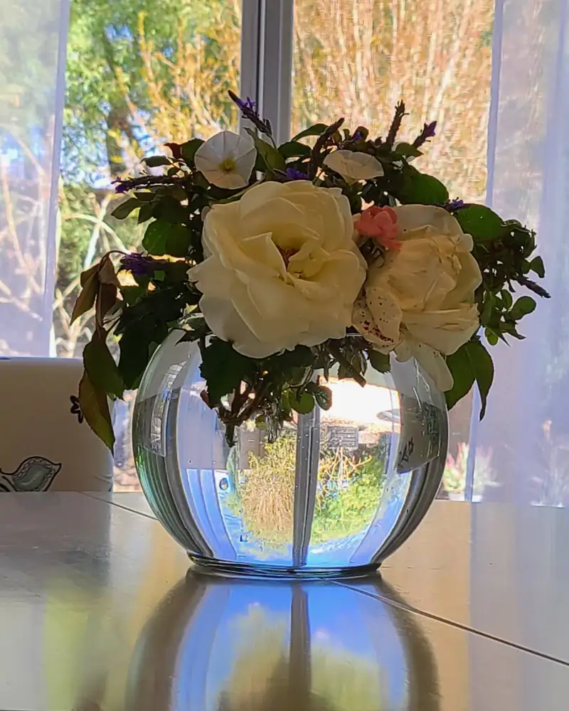 Bunch of white roses in a round glass vase on a table, in front of a window
