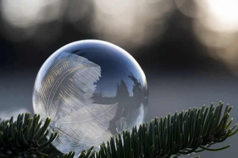 Frozen soap bubble covered in frost crystals resting on a fir branch