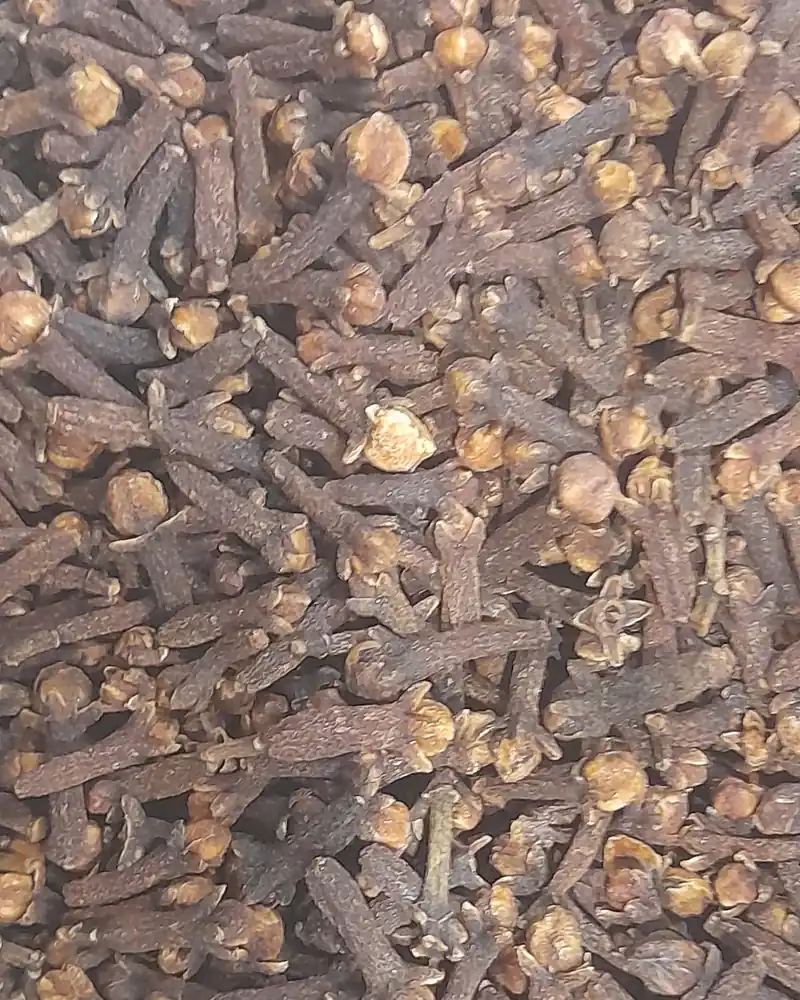 Clous de girofle séchés étalés en couche serrée, vus du dessus