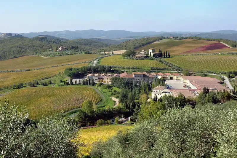 Collines du Chianti couvertes de vignes et d'oliviers autour d'un domaine, ciel clair