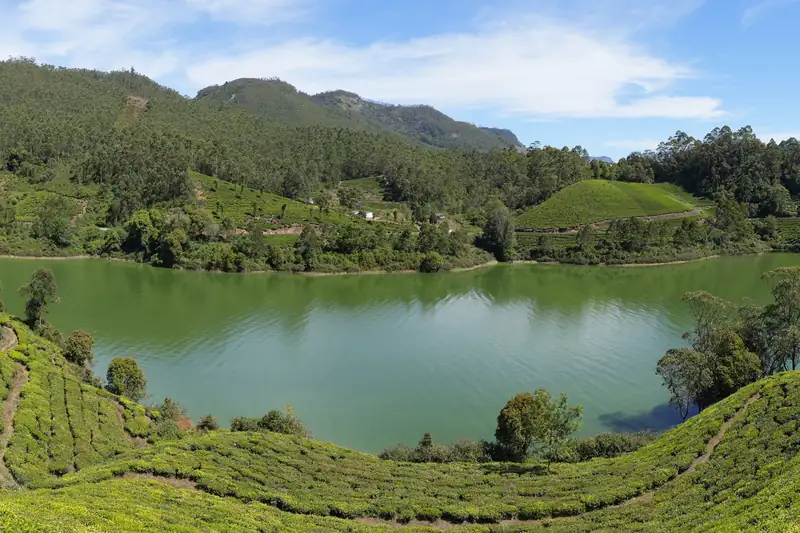 Hills covered with tea plantations around a mountain lake in Kerala
