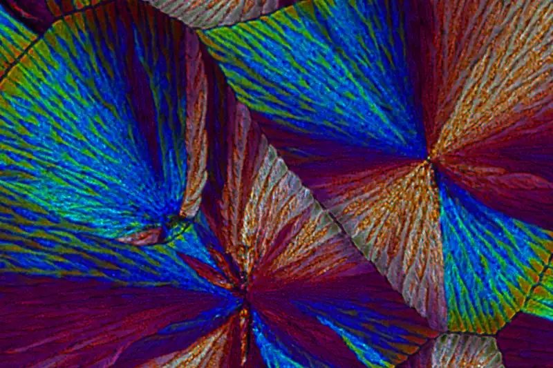 Cristaux de vanilline au microscope en lumière polarisée, éventails bleus, verts et roses
