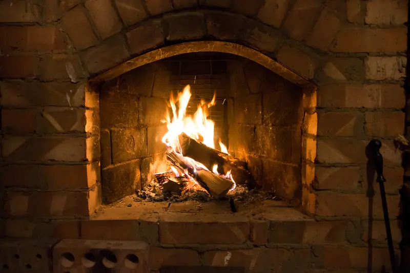 Feu de bois qui flambe dans une cheminée de briques à l'arche arrondie