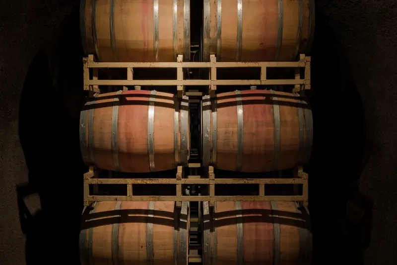 Oak barrels stacked on racks in the half-light of a wine cave