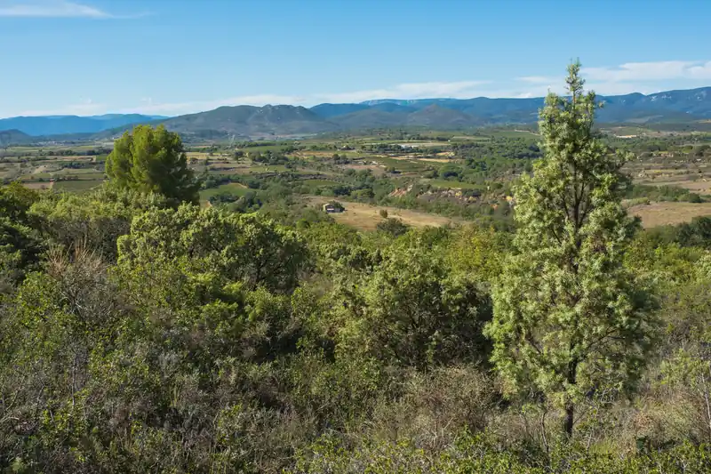Garrigue de l'Hérault, buissons et genévriers devant des collines au loin