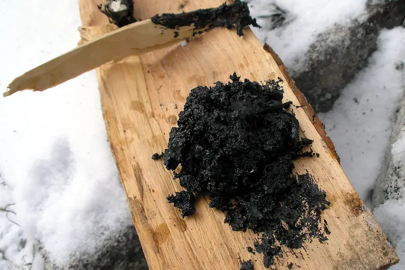 Shiny black birch tar spread on a wooden board lying in the snow
