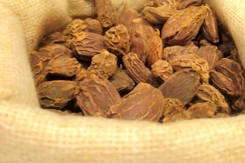 Gousses de cardamome noire ridées débordant d'un sac en toile de jute