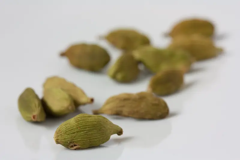 Gousses de cardamome verte éparpillées sur un fond blanc, en lumière douce