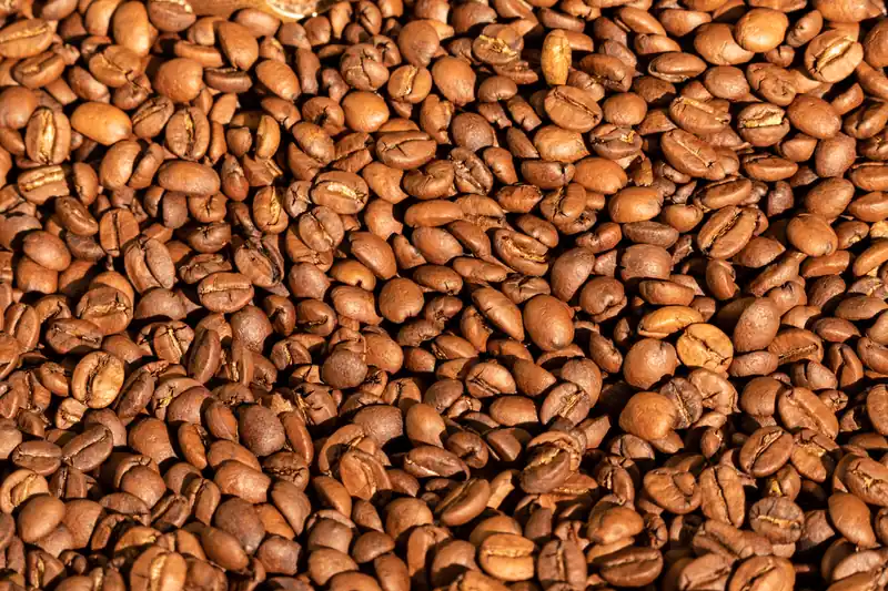 Grains de café fraîchement torréfiés couleur noisette dans une brûlerie artisanale