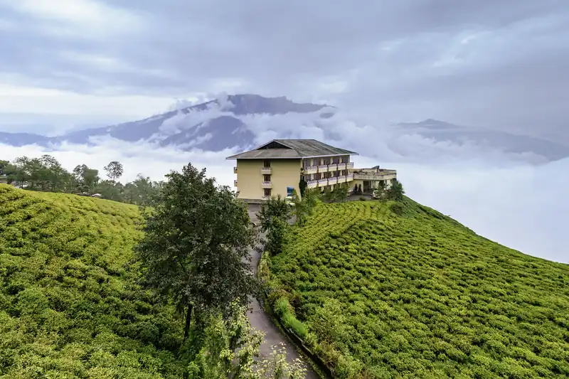Maison perchée au milieu d'un jardin de thé du Sikkim, nuages bas et montagne au loin