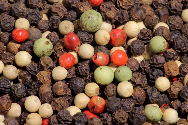 Mélange de grains de poivre noirs, blancs, verts et de baies roses en gros plan