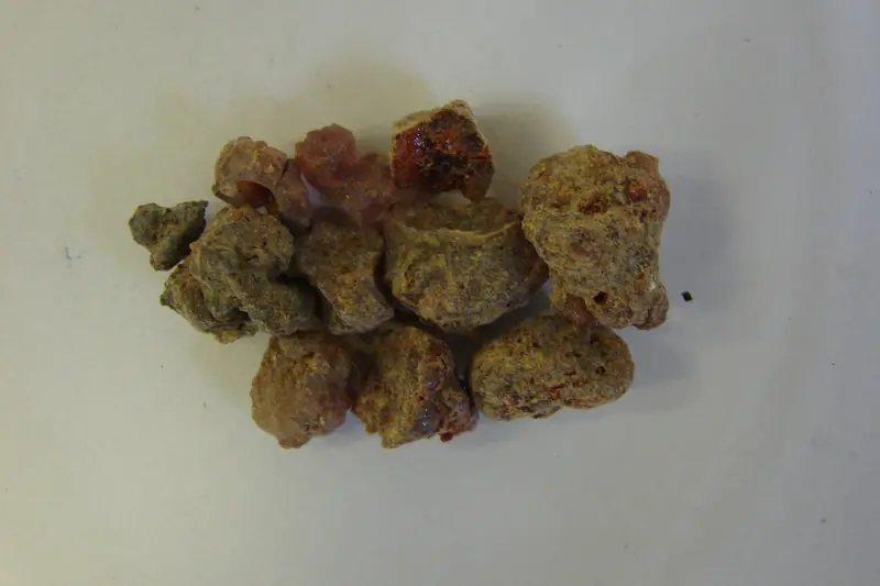 Irregular, grainy orange-brown pieces of myrrh on a pale background