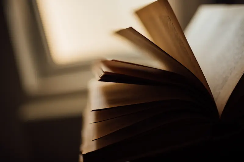 Pages jaunies d'un vieux livre ouvert en éventail, lumière douce