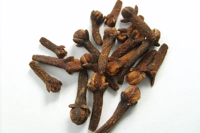 Small heap of brown cloves with round buds and stems on a white background