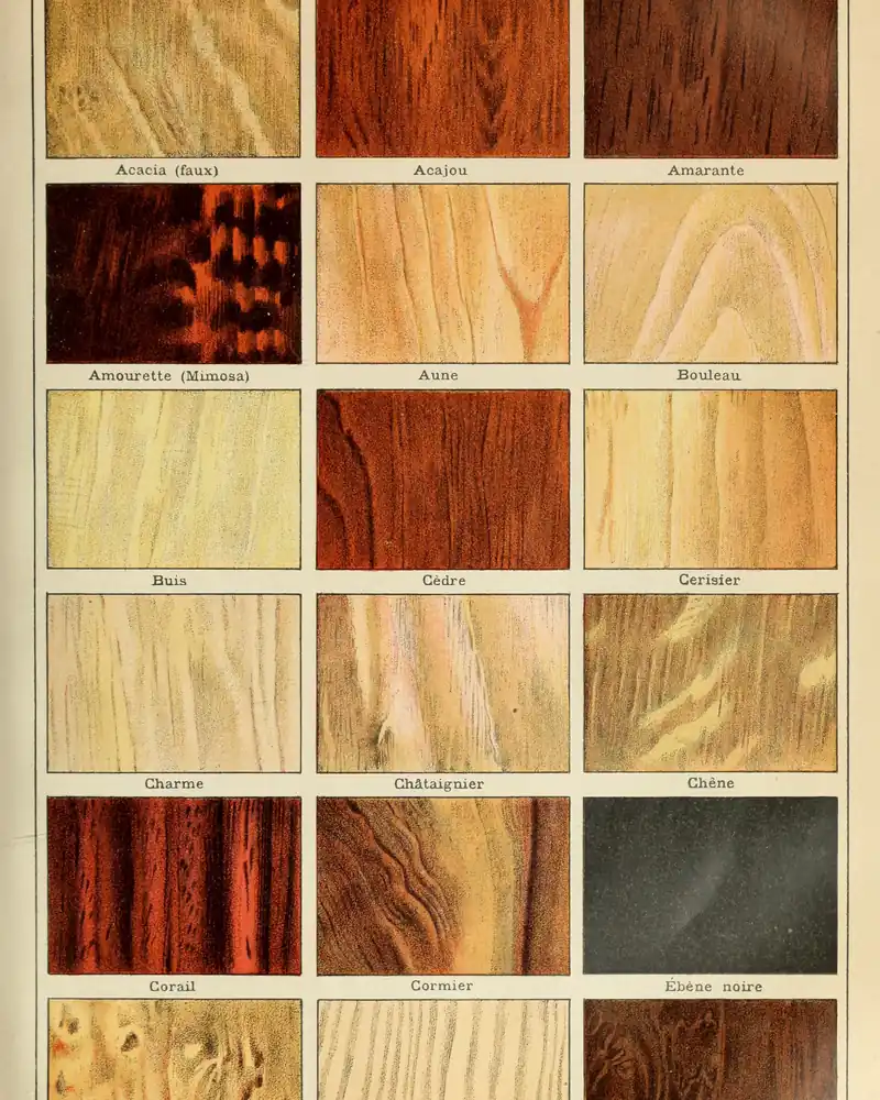 Planche d'encyclopédie de 1909 montrant une vingtaine d'essences de bois en couleurs